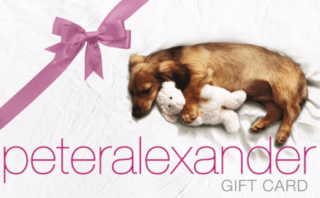 Peter Alexander